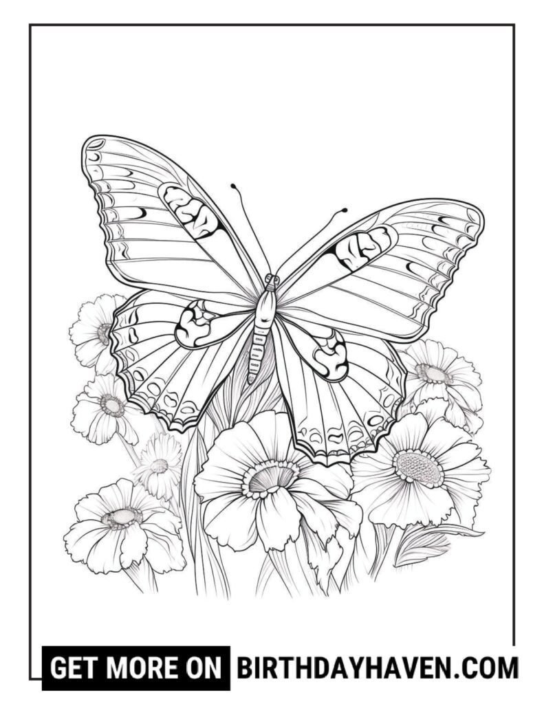 Butterfly coloring pages 22