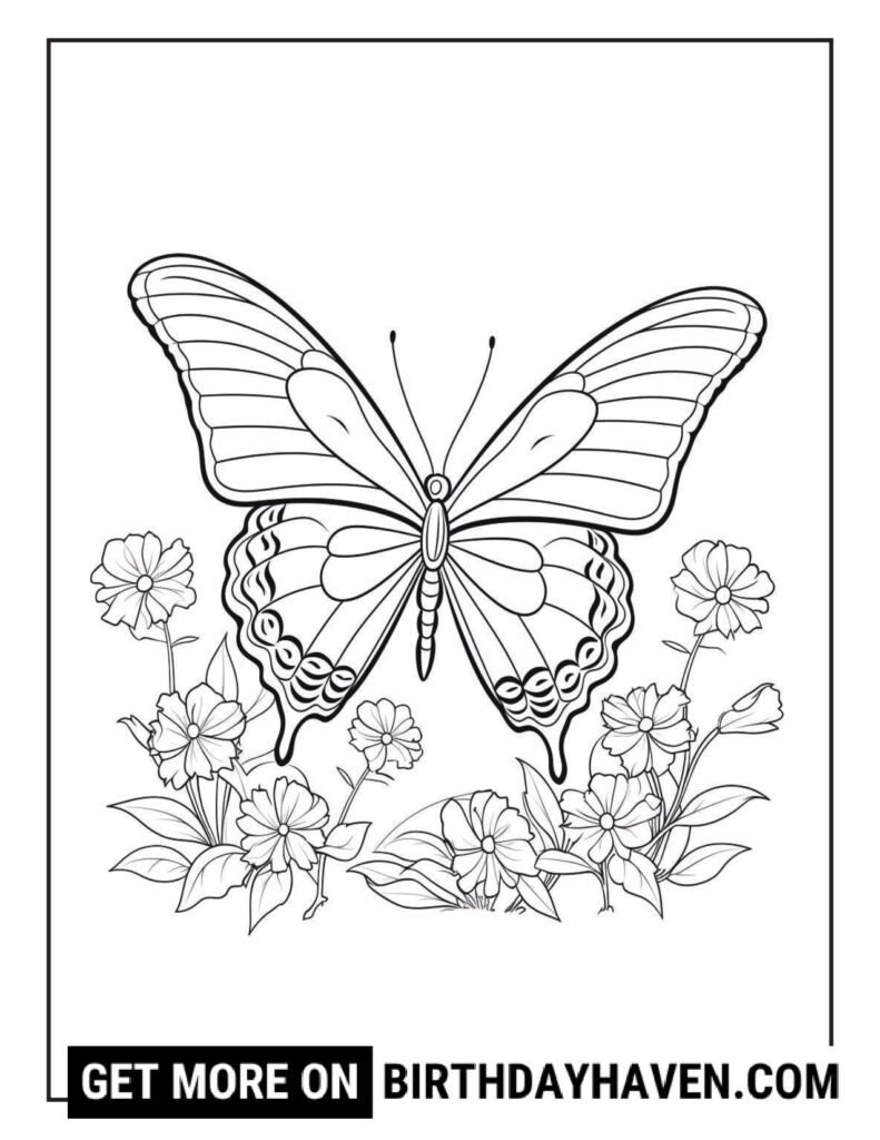 butterfly coloring pages printable
