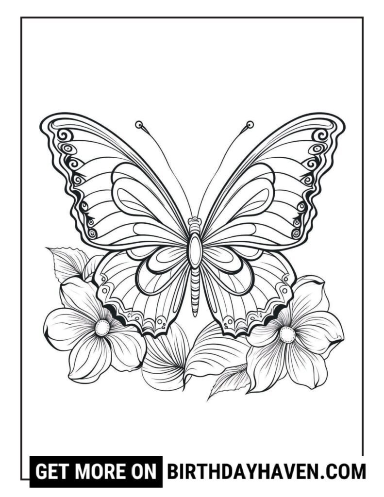 flower butterfly coloring pages