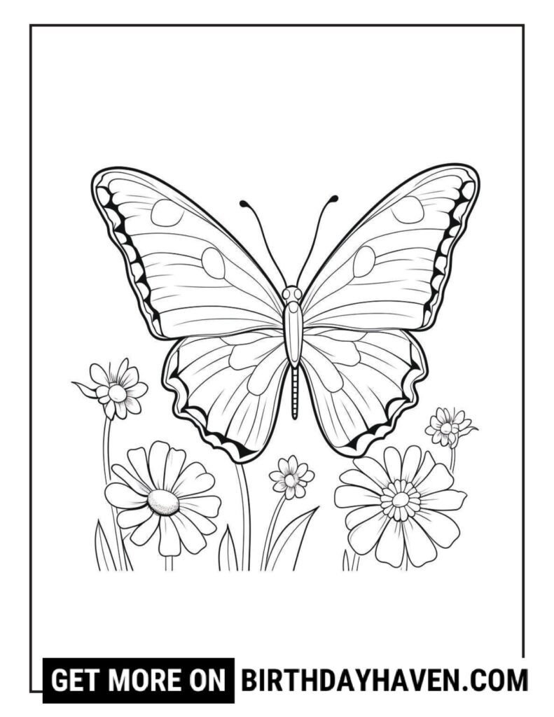free butterfly coloring pages