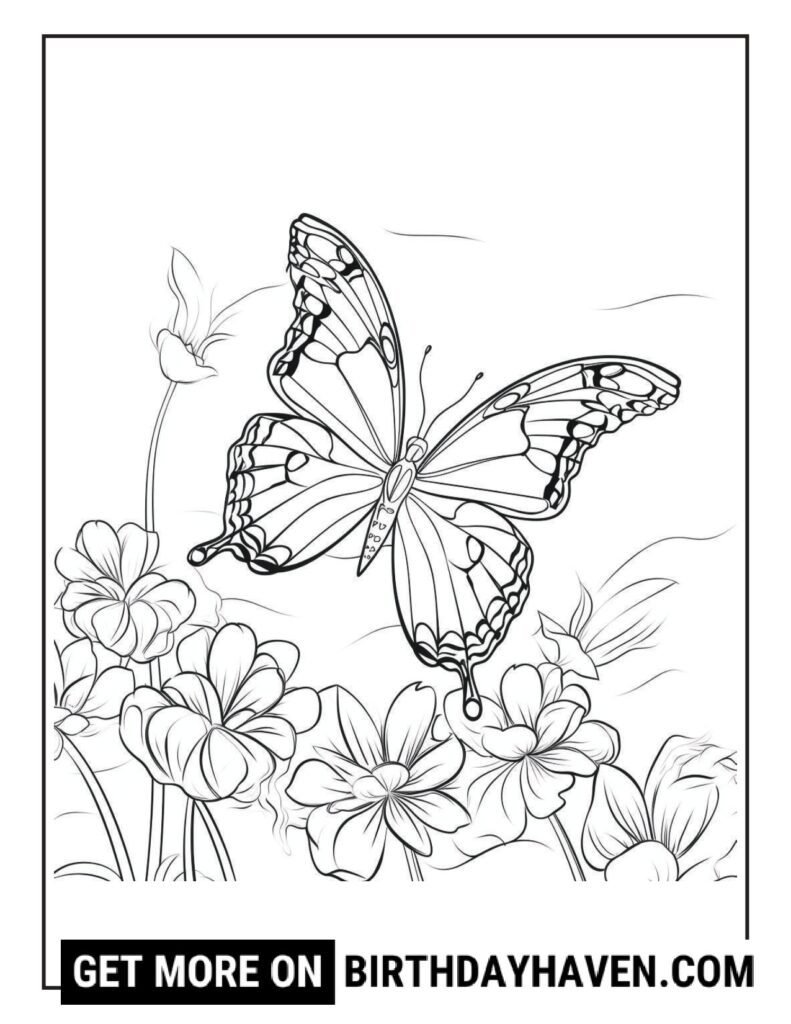butterfly coloring pages for adults