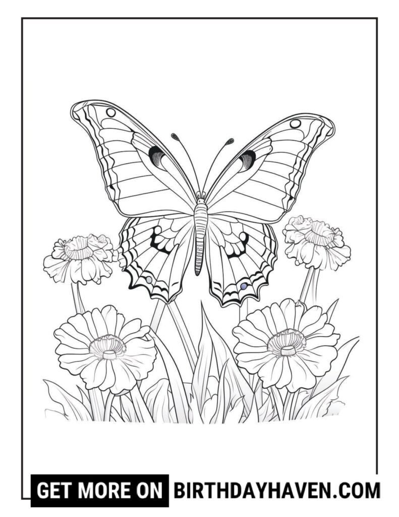 cute butterfly coloring pages