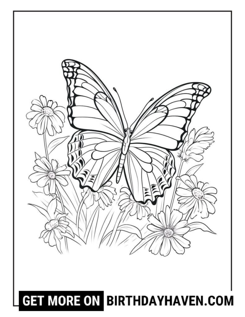 Butterfly coloring pages 5